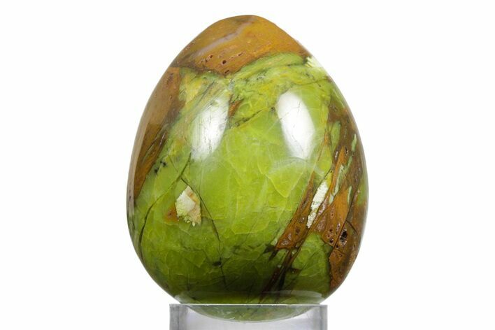 Polished Green Opal Egg - Madagascar #356173